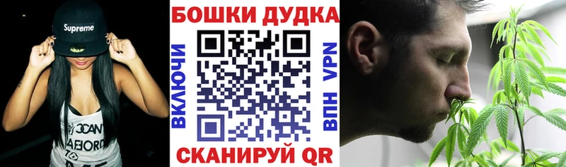 Купить где  Бабаево  Каннабис сатива 